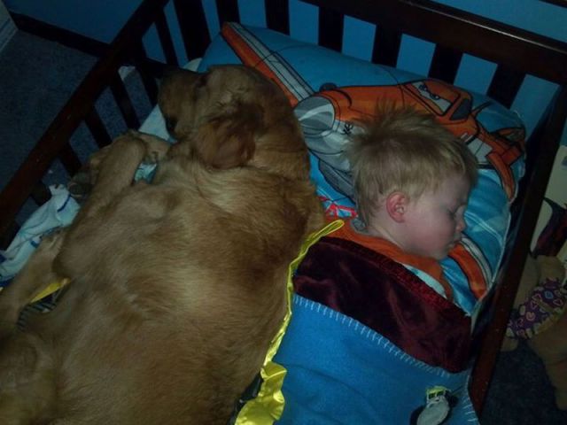 morning picdump 54 pics 19.html - 54 HD Photos | Premium Gallery 2014