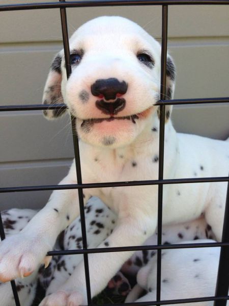 morning picdump 54 pics 19.html - 54 HD Photos | Premium Gallery 2014