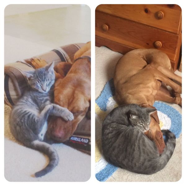 morning picdump 54 pics 19.html - 54 HD Photos | Premium Gallery 2014