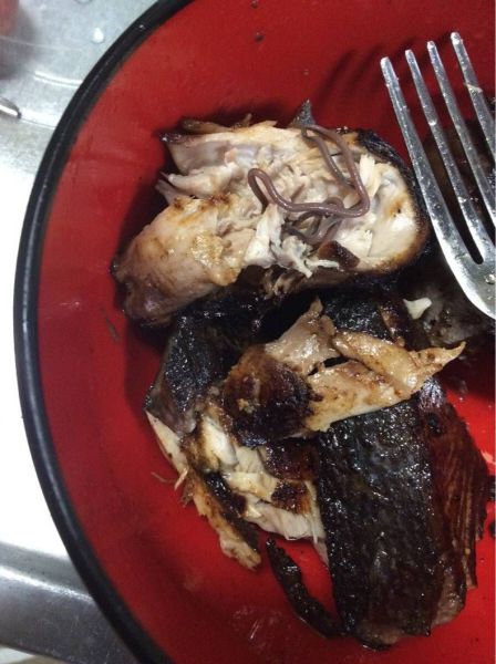 morning picdump 55 pics 21.html - 55 HD Photos | Premium Gallery 2014