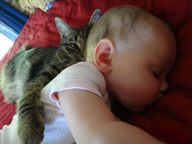 morning picdump 52 pics 10.html - 52 HD Photos | Premium Gallery 2014