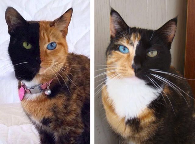 morning picdump 52 pics 10.html - 52 HD Photos | Premium Gallery 2014