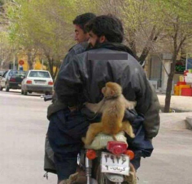 page,9,top 500 morning pics of the year 2014.html - 1 HD Photos | Premium Gallery 2014