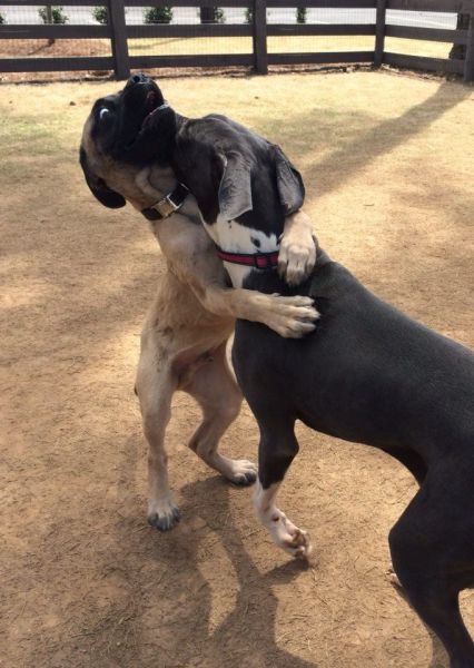 morning picdump 53 pics 14.html - 53 HD Photos | Premium Gallery 2014