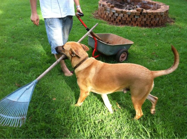 morning picdump 53 pics 14.html - 53 HD Photos | Premium Gallery 2014