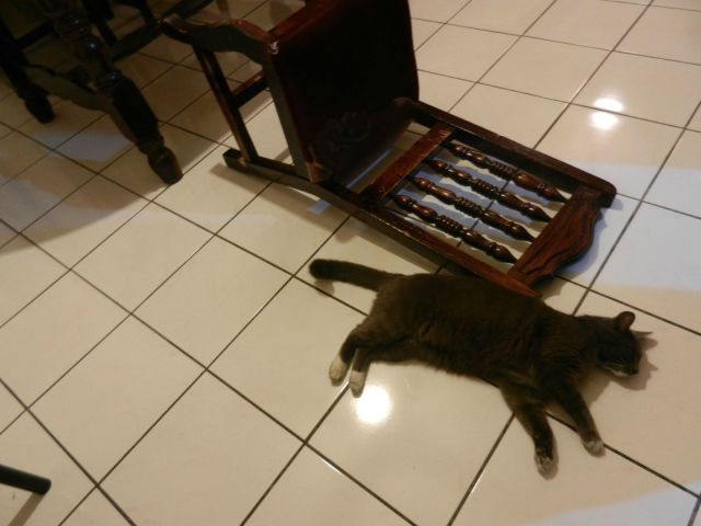 morning picdump 53 pics 14.html - 53 HD Photos | Premium Gallery 2014