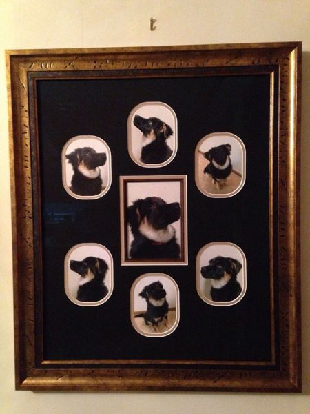 morning picdump 53 pics 14.html - 53 HD Photos | Premium Gallery 2014