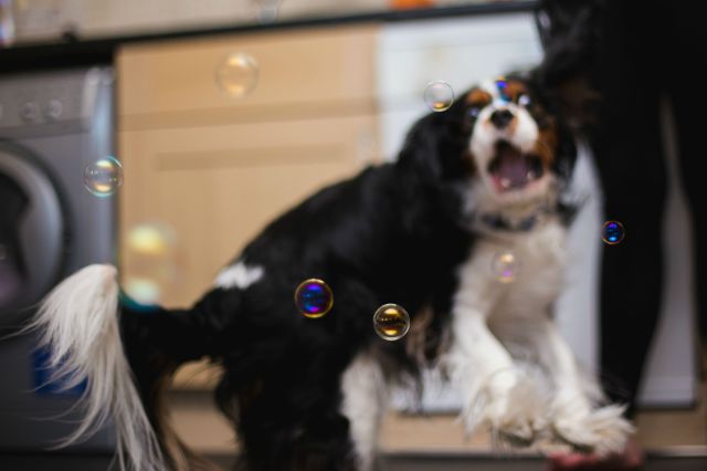 morning picdump 58 pics 3.html - 58 HD Photos | Premium Gallery 2014