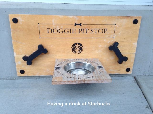 morning picdump 58 pics 3.html - 58 HD Photos | Premium Gallery 2014