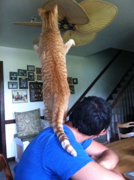 morning picdump 58 pics 3.html - 58 HD Photos | Premium Gallery 2014