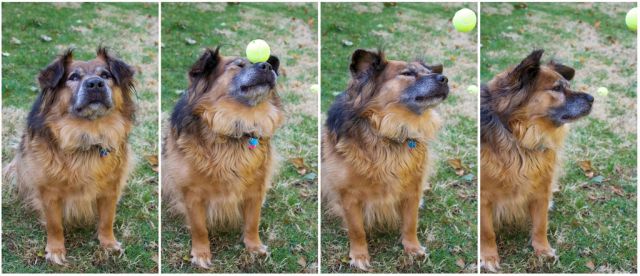 morning picdump 58 pics 3.html - 58 HD Photos | Premium Gallery 2014