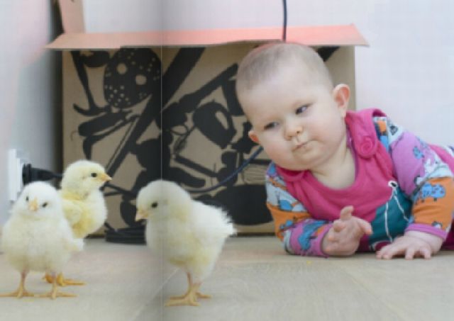 morning picdump 58 pics 3.html - 58 HD Photos | Premium Gallery 2014