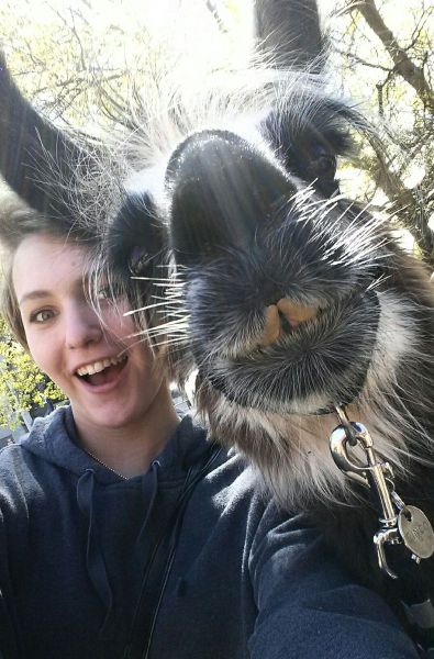 morning picdump 58 pics 3.html - 58 HD Photos | Premium Gallery 2014