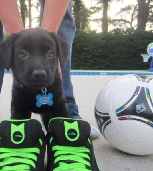 morning picdump 51 pics 43.html - 51 HD Photos | Premium Gallery 2014