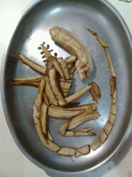 morning picdump 51 pics 43.html - 51 HD Photos | Premium Gallery 2014