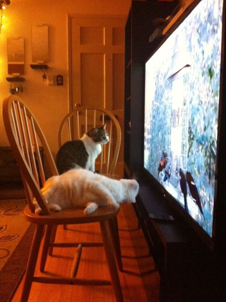 morning picdump 51 pics 43.html - 51 HD Photos | Premium Gallery 2014