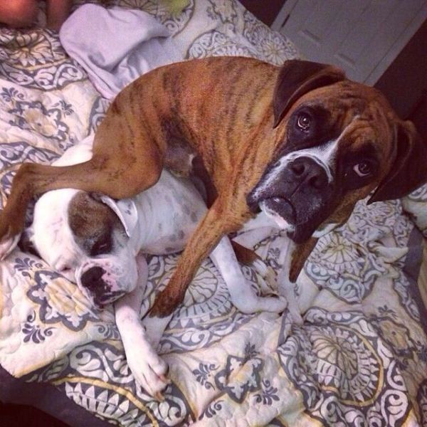 morning picdump 51 pics 43.html - 51 HD Photos | Premium Gallery 2014