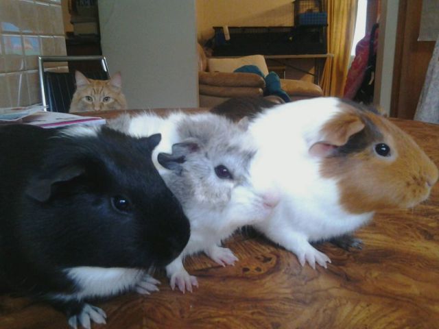 morning picdump 51 pics 43.html - 51 HD Photos | Premium Gallery 2014