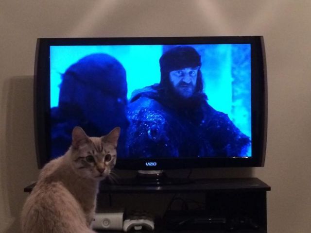 morning picdump 51 pics 43.html - 51 HD Photos | Premium Gallery 2014