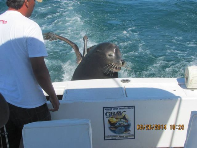 morning picdump 51 pics 43.html - 51 HD Photos | Premium Gallery 2014