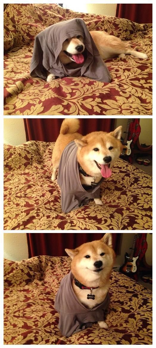 morning picdump 51 pics 43.html - 51 HD Photos | Premium Gallery 2014