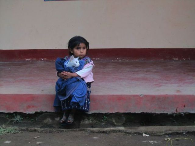 hardhitting photos that capture incredible moments 59 pics 49.html - 59 HD Photos | Premium Gallery 2014