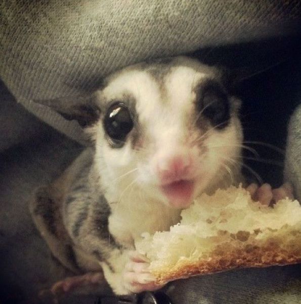 morning picdump 50 pics 9.html - 50 HD Photos | Premium Gallery 2014