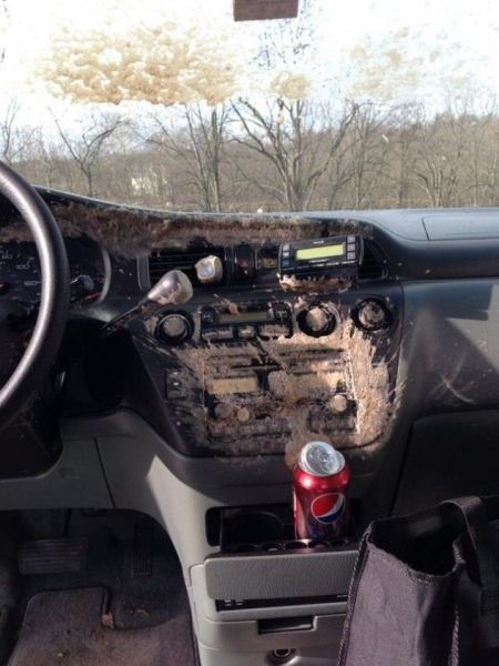 morning picdump 50 pics 9.html - 50 HD Photos | Premium Gallery 2014