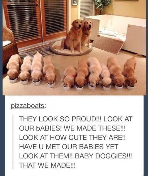 morning picdump 50 pics 9.html - 50 HD Photos | Premium Gallery 2014