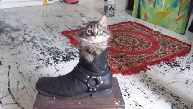 morning picdump 50 pics 9.html - 50 HD Photos | Premium Gallery 2014