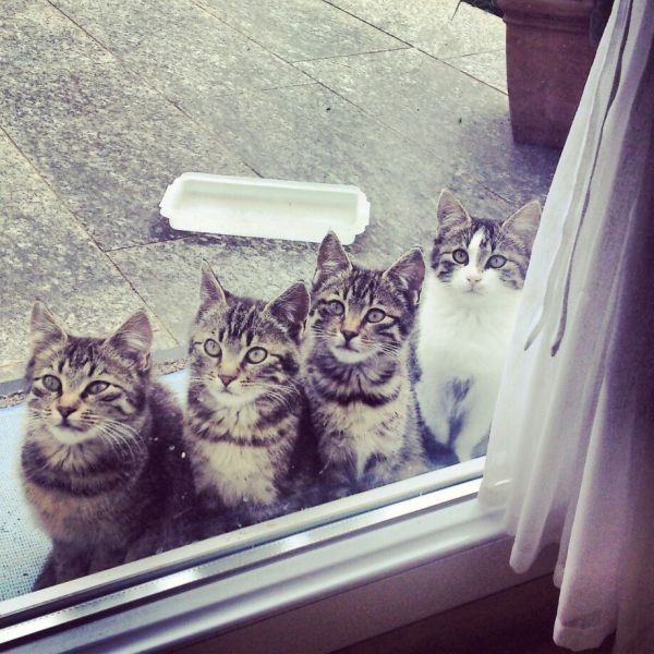 morning picdump 50 pics 9.html - 50 HD Photos | Premium Gallery 2014