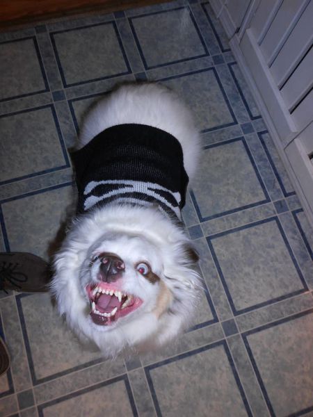 morning picdump 50 pics 9.html - 50 HD Photos | Premium Gallery 2014