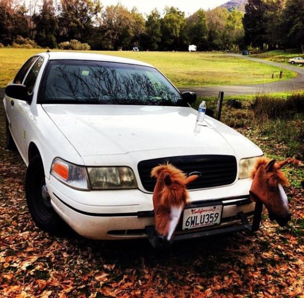 morning picdump 50 pics 9.html - 50 HD Photos | Premium Gallery 2014