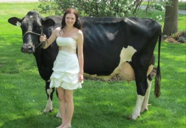 Prom Season Is Actually a Terrible Time