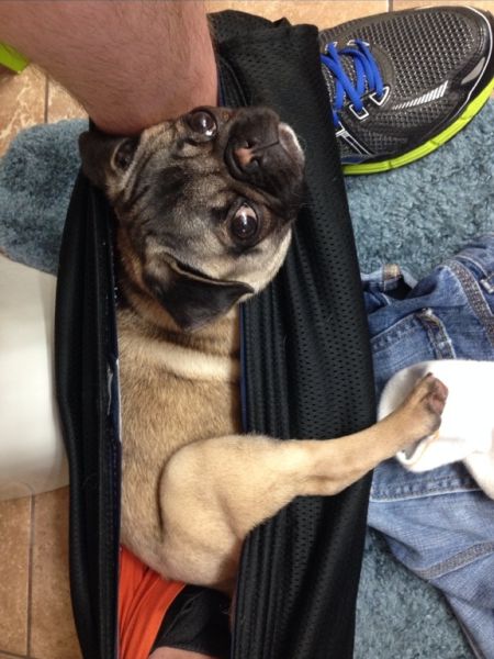 daily picdump 102 pics 15.html - 102 HD Photos | Premium Gallery 2014