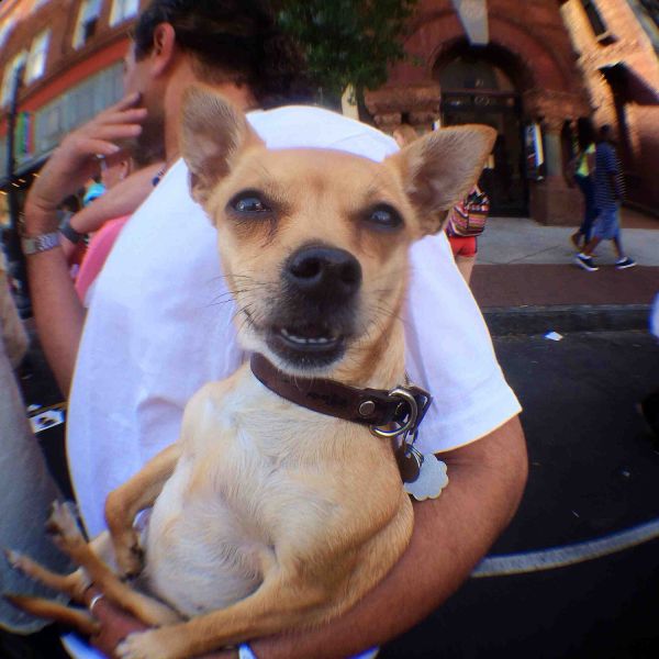 daily picdump 102 pics 15.html - 102 HD Photos | Premium Gallery 2014