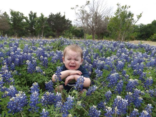 daily picdump 102 pics 15.html - 102 HD Photos | Premium Gallery 2014