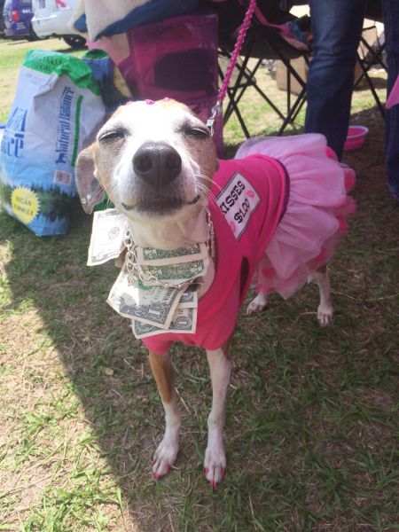 daily picdump 102 pics 15.html - 102 HD Photos | Premium Gallery 2014