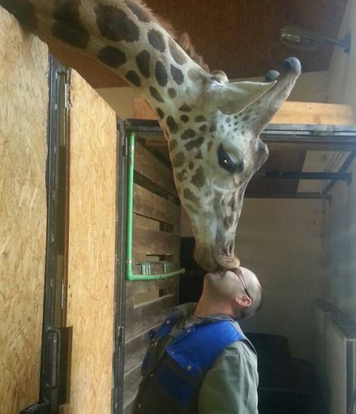 daily picdump 102 pics 15.html - 102 HD Photos | Premium Gallery 2014