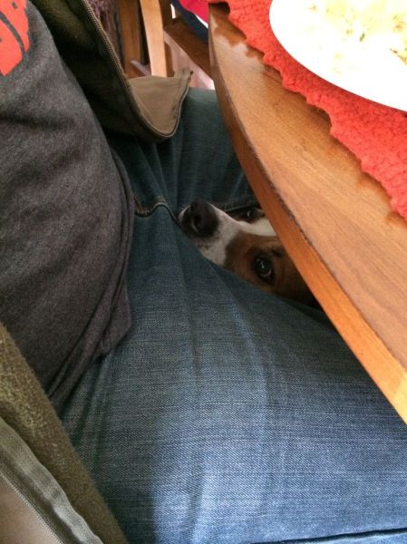 morning picdump 58 pics 43.html - 58 HD Photos | Premium Gallery 2014