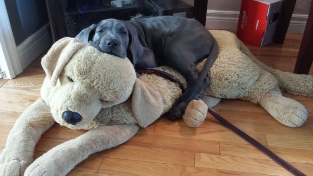 morning picdump 58 pics 43.html - 58 HD Photos | Premium Gallery 2014