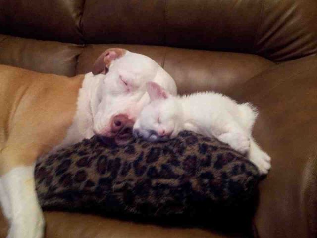 morning picdump 58 pics 43.html - 58 HD Photos | Premium Gallery 2014