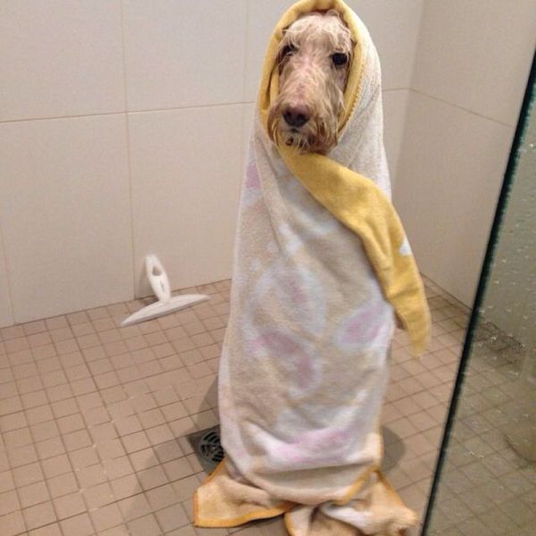 morning picdump 58 pics 43.html - 58 HD Photos | Premium Gallery 2014