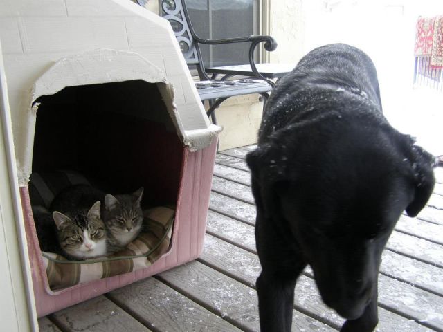 morning picdump 58 pics 43.html - 58 HD Photos | Premium Gallery 2014