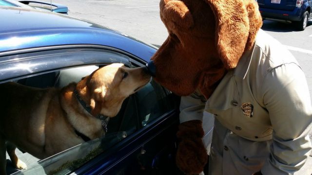 morning picdump 58 pics 43.html - 58 HD Photos | Premium Gallery 2014