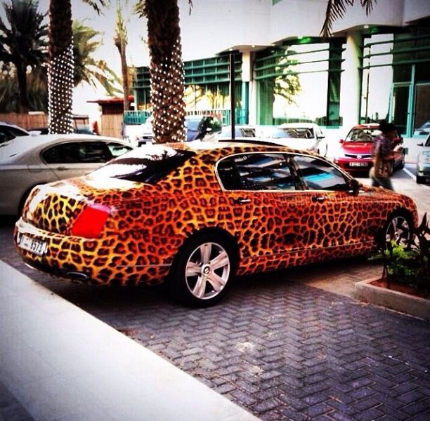 morning picdump 58 pics 43.html - 58 HD Photos | Premium Gallery 2014