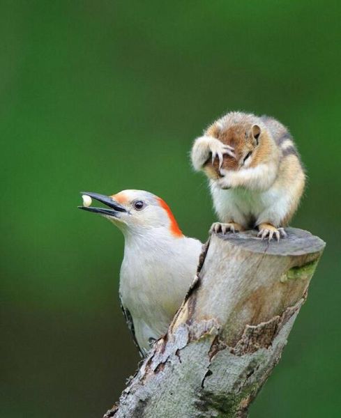 morning picdump 58 pics 43.html - 58 HD Photos | Premium Gallery 2014