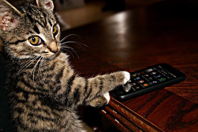 morning picdump 58 pics 43.html - 58 HD Photos | Premium Gallery 2014