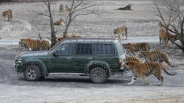 morning picdump 58 pics 43.html - 58 HD Photos | Premium Gallery 2014