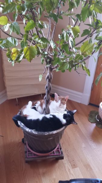 morning picdump 58 pics 43.html - 58 HD Photos | Premium Gallery 2014